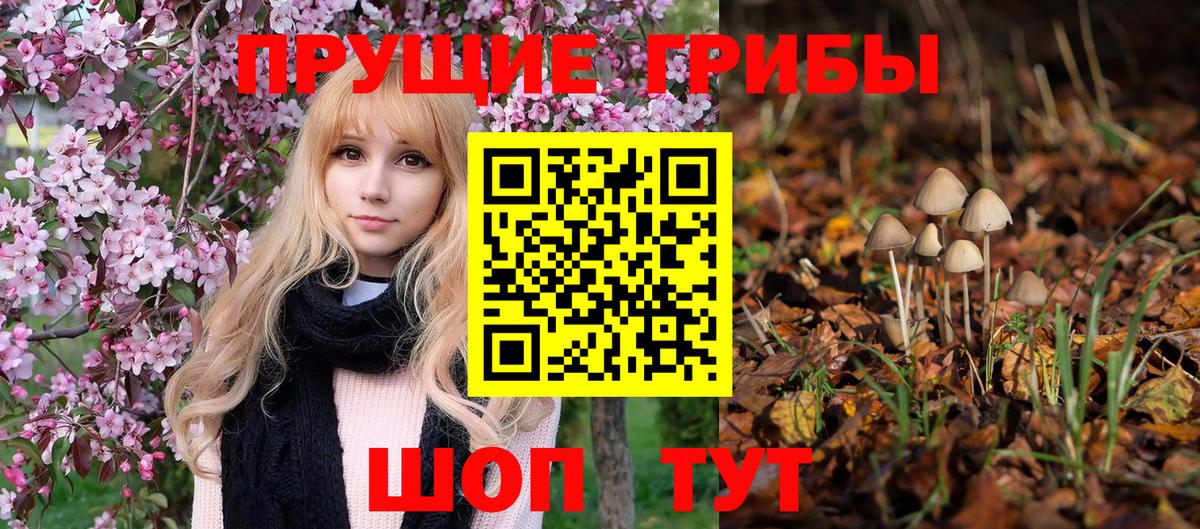 Галлюциногенные грибы Magic Shrooms  Вход с VPN  Кропоткин  Псилоцибиновые грибы мухоморы 
