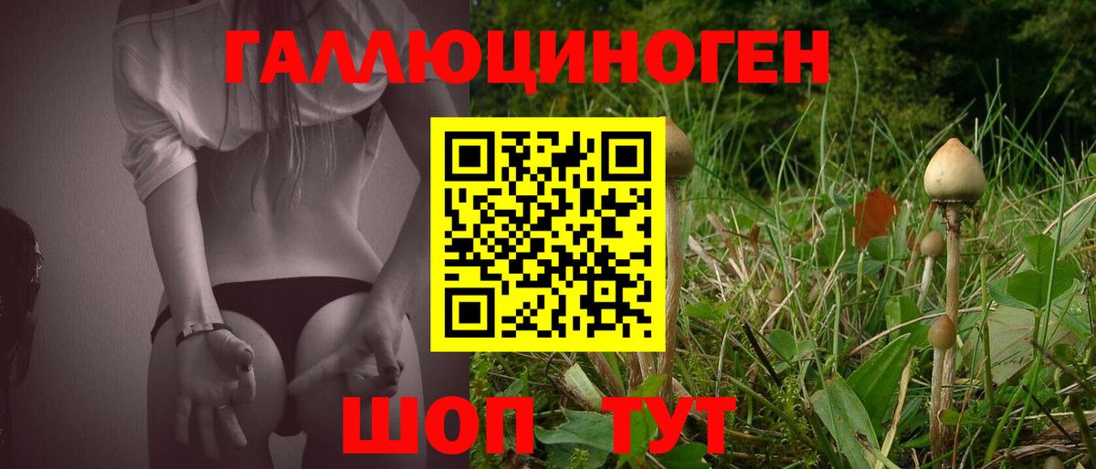 Галлюциногенные грибы мицелий Кропоткин